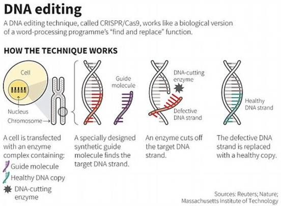 CRISPR-3.jpg
