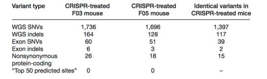 CRISPR-4.jpg
