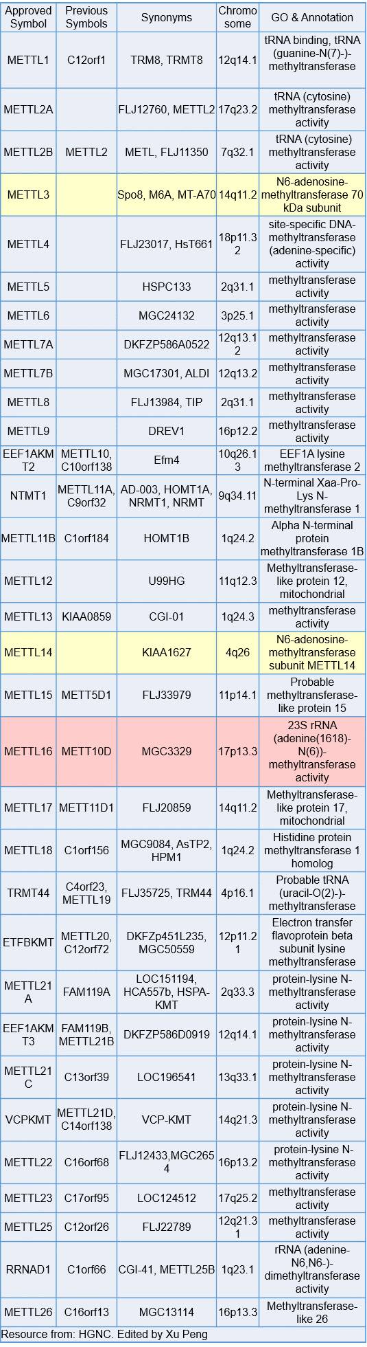 snRNA-5.jpg