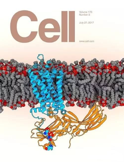 GPCR-2.jpg