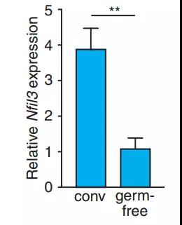 Science-3.jpg