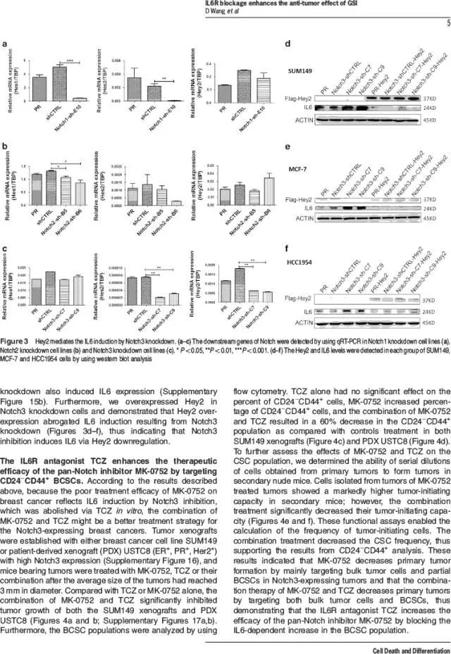 cell death and differentiation-6.jpg