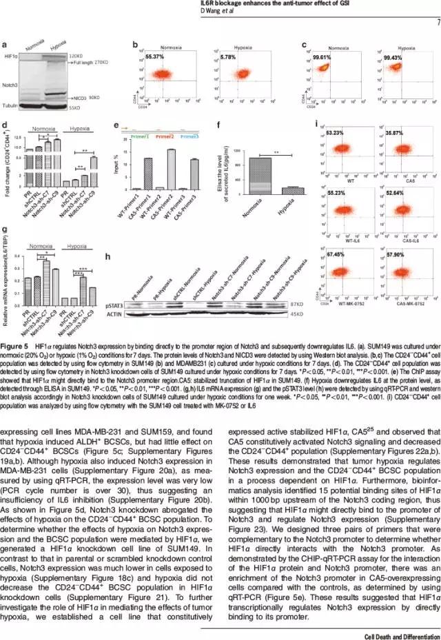 cell death and differentiation-8.jpg