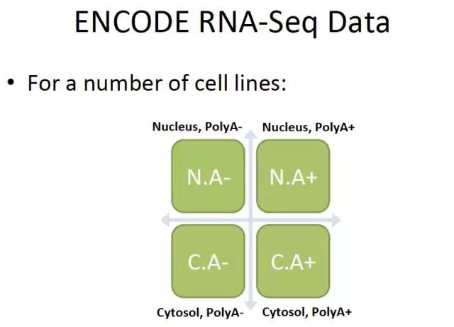 ENCODE--7.jpg