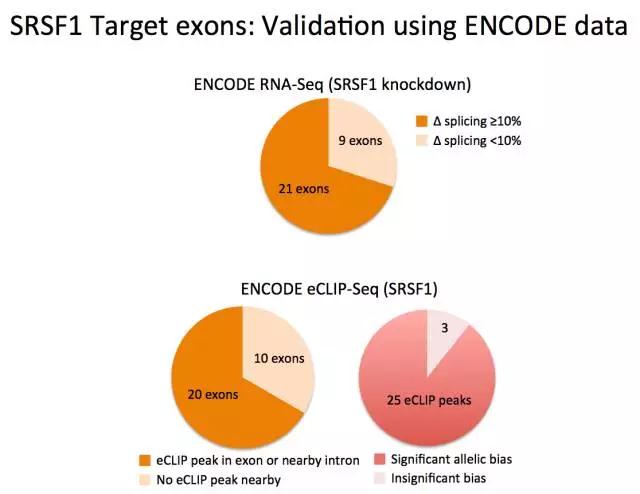 ENCODE-13.jpg