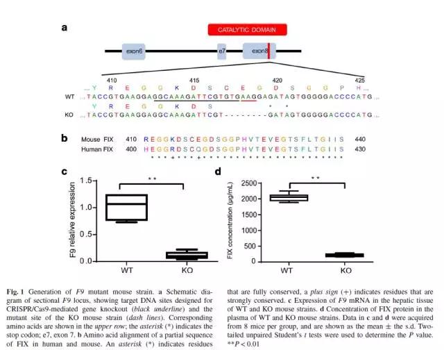 CRISPR-2.jpg