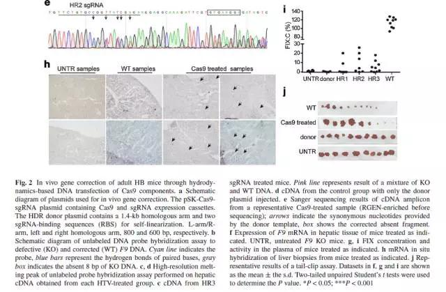 CRISPR-4.jpg