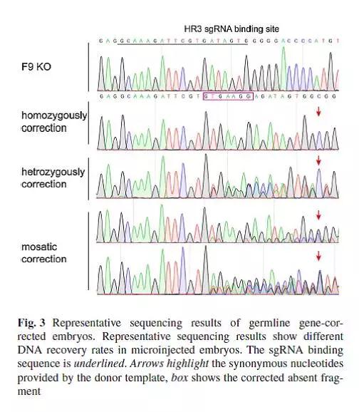 CRISPR-5.jpg