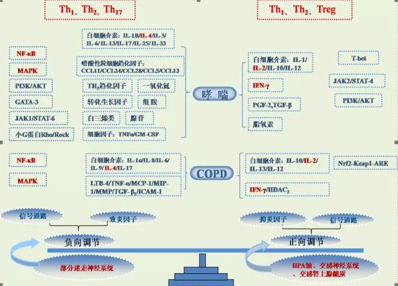 企业微信截图_157406956222.png